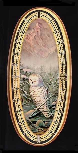 Snowy Owl